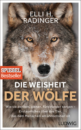 The Wisdom of the Wolves The Wisdom of the Wolves