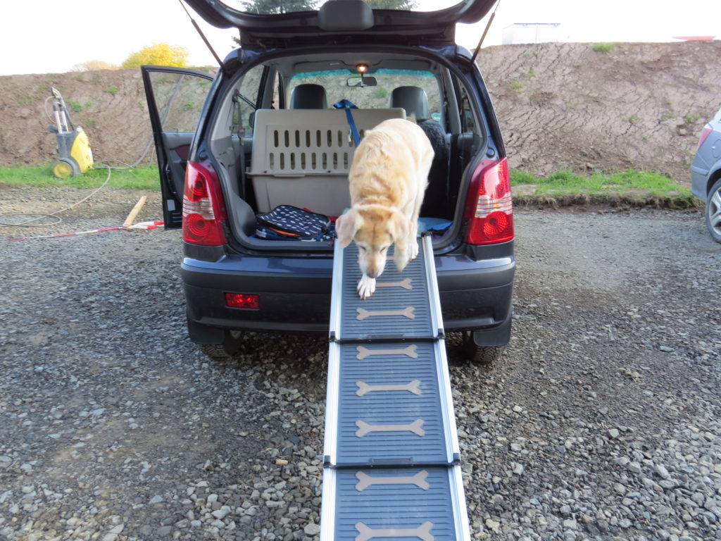Neues Auto mit Rampe für den Hund