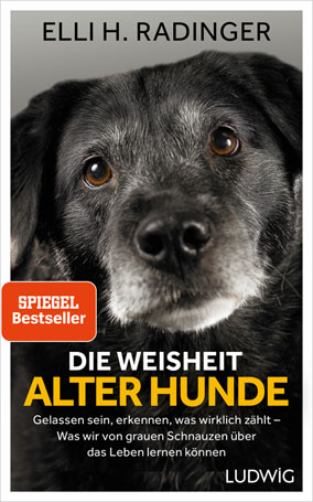 Die Weisheit Alter Hunde Spiegel Bestseller Elli H Radinger