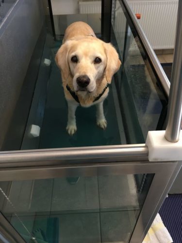 Hydrotherapie