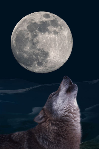 Vollmond
