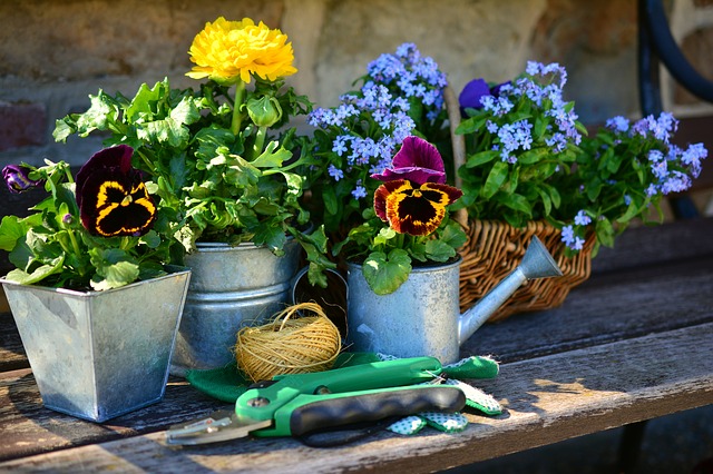 Garten