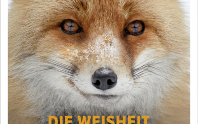 Buchtipp: Die Weisheit der Füchse