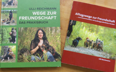 Buchtipp: Ulli Reichmann