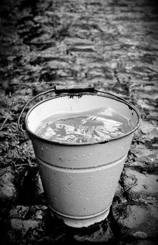 Das ist das Letzte: Ice Bucket Challenge mit Hund