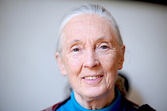 Danke, Jane Goodall