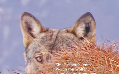 Buchtipp: Wölfe. Sind sie uns zu nah?