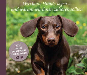 Buchtipp: ReBELLion